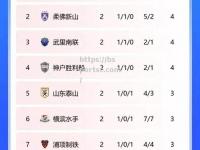 bsports体育-胜利之路！球队连胜晋级，冲击亚冠桂冠