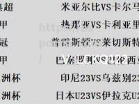 bsports体育-热那亚客场逆转，登顶积分榜